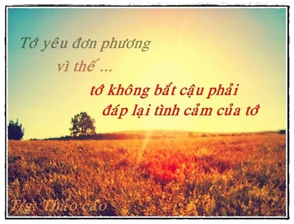 nhung-cau-cham-ngon-hay-ve-tinh-yeu-don-phuong-2015.1