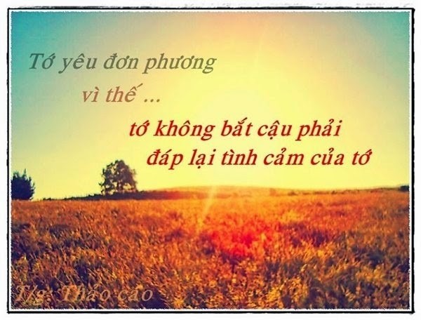 nhung-cau-noi-hay-nhat-ve-tinh-yeu-buon-yeu-don-phuong.1