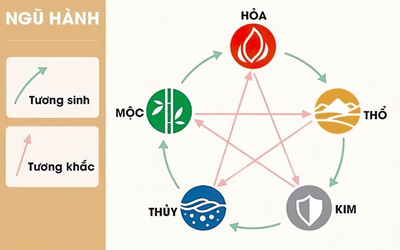 Người sinh năm 2011 có vận mệnh như thế nào? Tử vi chính xác nhất