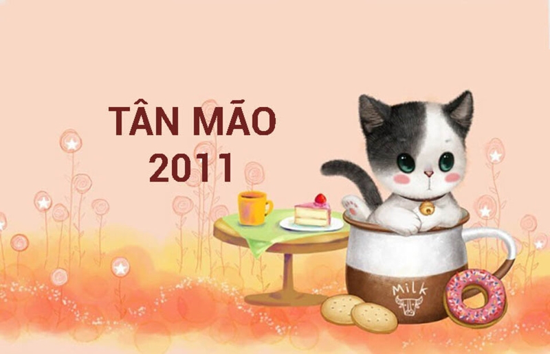 Năm nay là năm nào, 2011? Tất cả những thông tin cực kỳ hữu ích về người sinh năm 2011 mà bạn cần biết